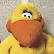 きいたんの画像