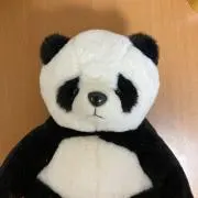 rin rinの画像