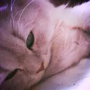 自己紹介必読☆わー