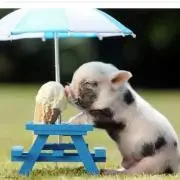 ri-ri☆の画像