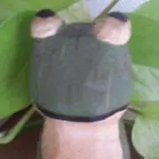かうり