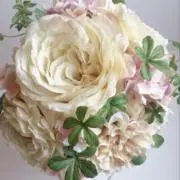 ぴぴこの画像
