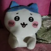 かつさんの画像