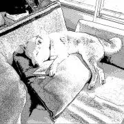 momoの画像