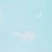 ちゃあの画像