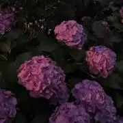 琉ナ【◎お値下げ可◎】の画像