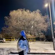 Reiaa