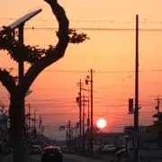 あんず
