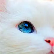 mmm