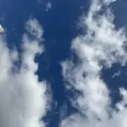 とわの画像