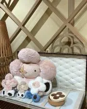 ☻Bichon à poi☺︎