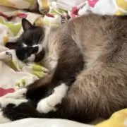 Yuの画像