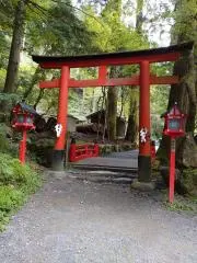 ポラリスの画像