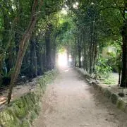 AGUの画像
