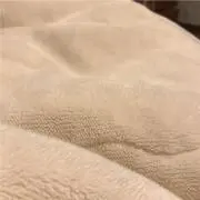 ※早い者勝ち※たぬきの画像
