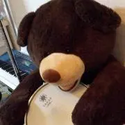みのむし