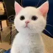 オムライスの画像