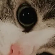 hhの画像