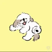 いぬぬの画像