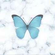 Cielの画像
