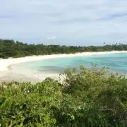 Kzの画像