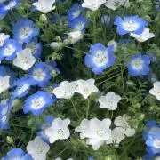 Sky ☆即日～翌日発送いたします☆の画像