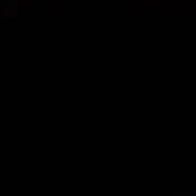 'y
