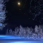 たぁーの画像