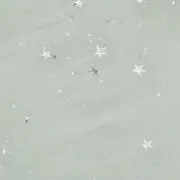 おさとうの画像