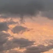 本願の画像