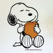 すーちゃんの画像