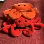 ちゃめの画像