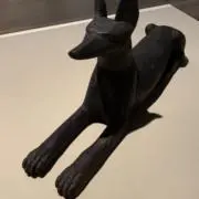 だみの画像