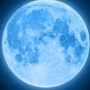 ✿✿にゃんこ✿✿の画像