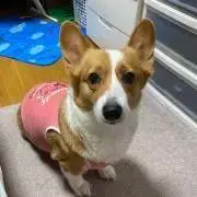 ◆ともさん◆