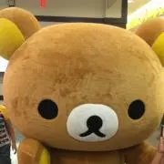 sae プロフ必読の画像