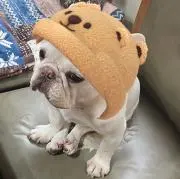 こみあ