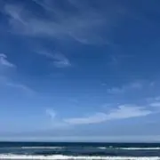 けんぴの画像