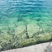 コチャイ