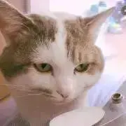 あげむさ プロフみてね(o^^o)の画像