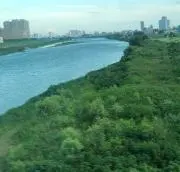 シータの画像