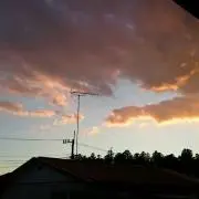 かものはしの画像