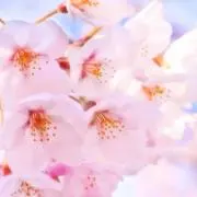 なーの画像