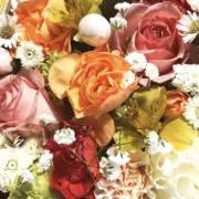 M S（プロフ必読願います）の画像
