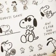 sa ꪔ̤̥⸝⋆の画像