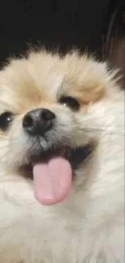 ひろの画像