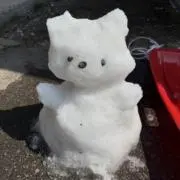 mimachanの画像