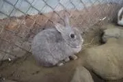 Kai ＊の画像