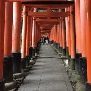 ねこってぃの画像