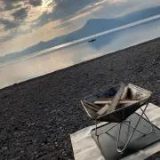 たぬきの画像
